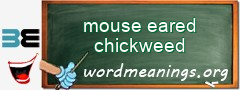 WordMeaning blackboard for mouse eared chickweed